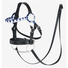 LeMieux Hobby Horse Showträns